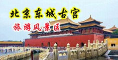 操美女，免费观看中国北京-东城古宫旅游风景区